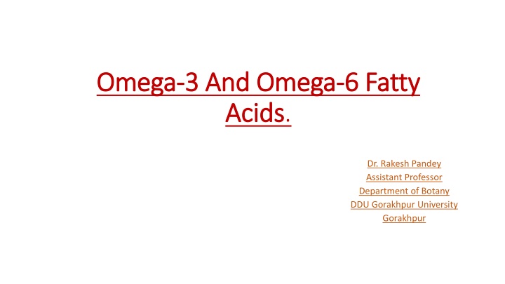 omega omega 3 and omega 3 and omega 6 fatty acids
