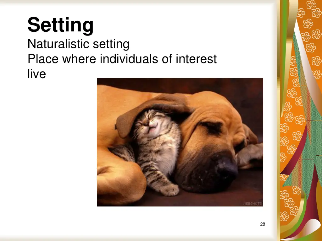 setting naturalistic setting place where