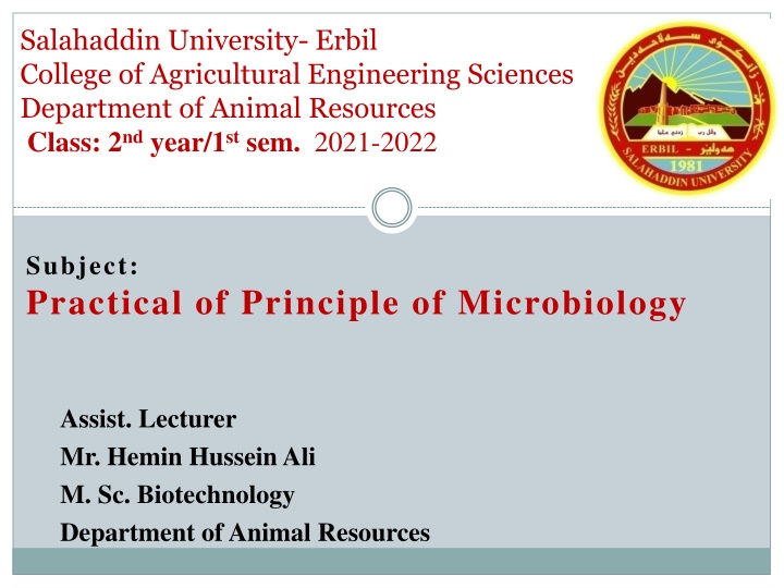 salahaddin university erbil college