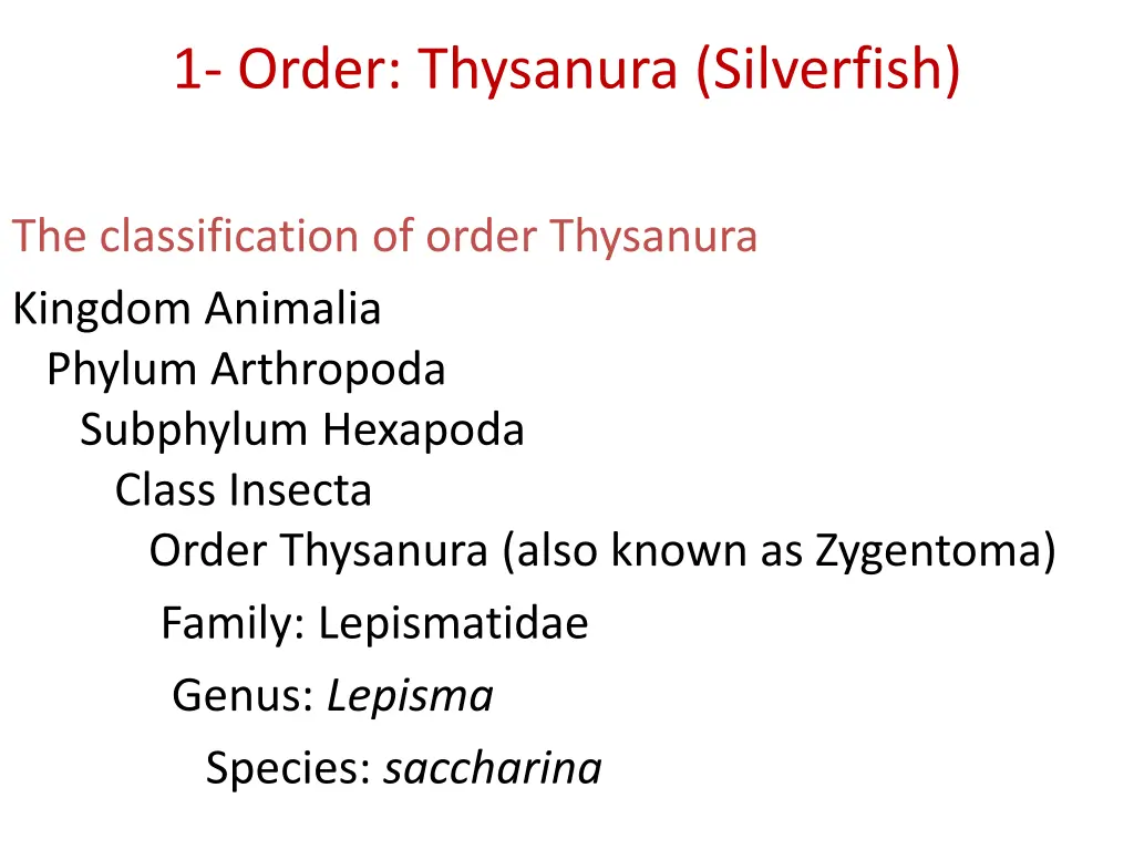 1 order thysanura silverfish