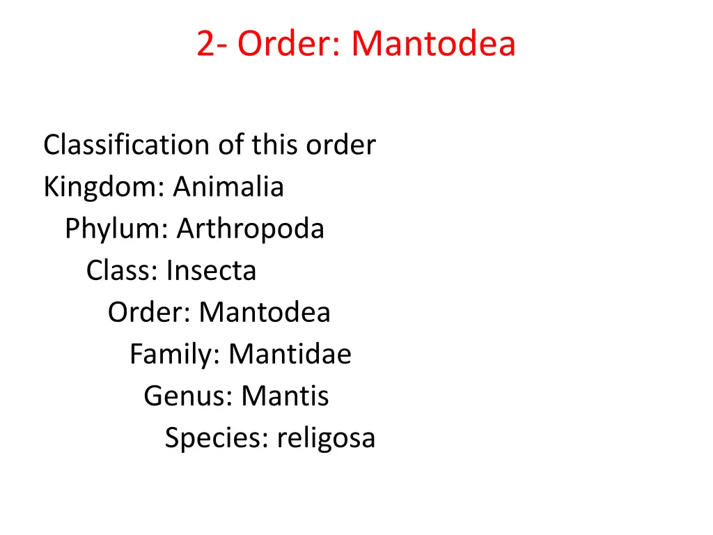 2 order mantodea
