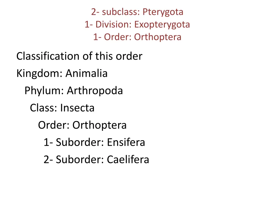 2 subclass pterygota 1 division exopterygota