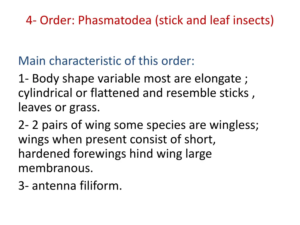 4 order phasmatodea stick and leaf insects