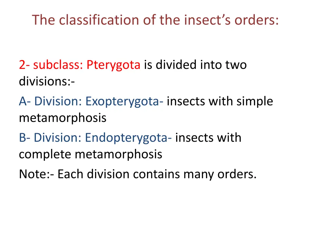the classification of the insect s orders