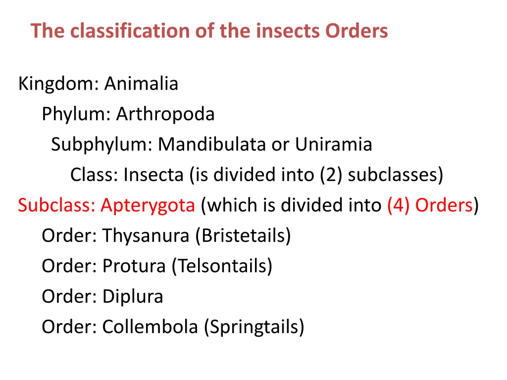 the classification of the insects orders