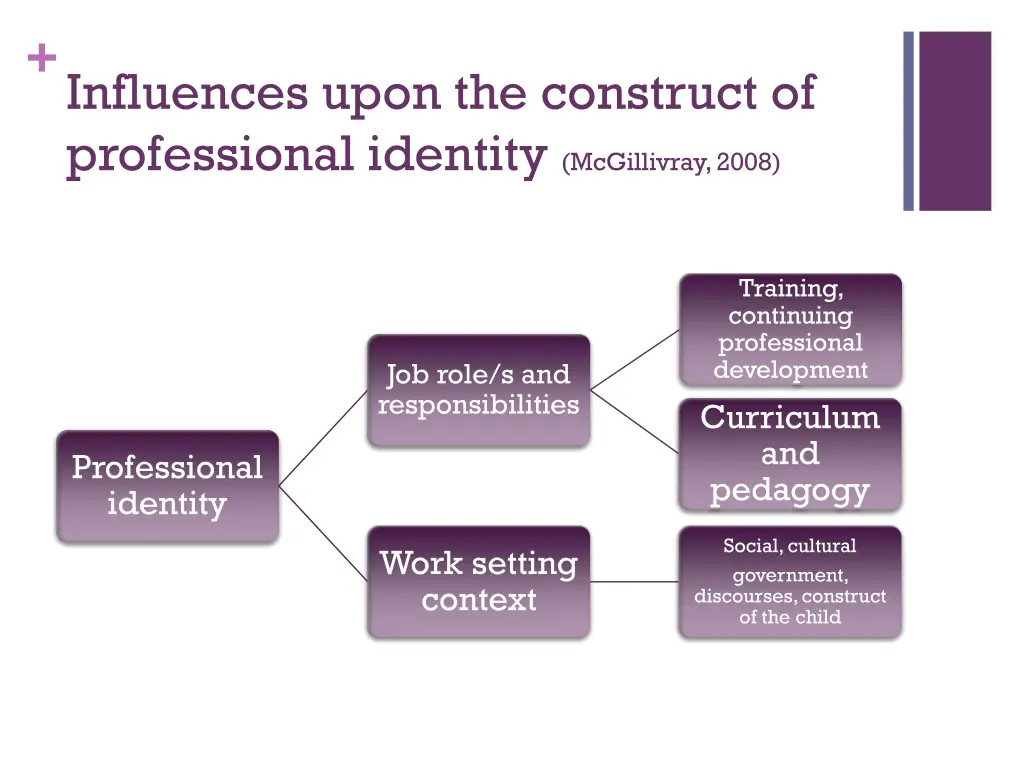 influences upon the construct of professional