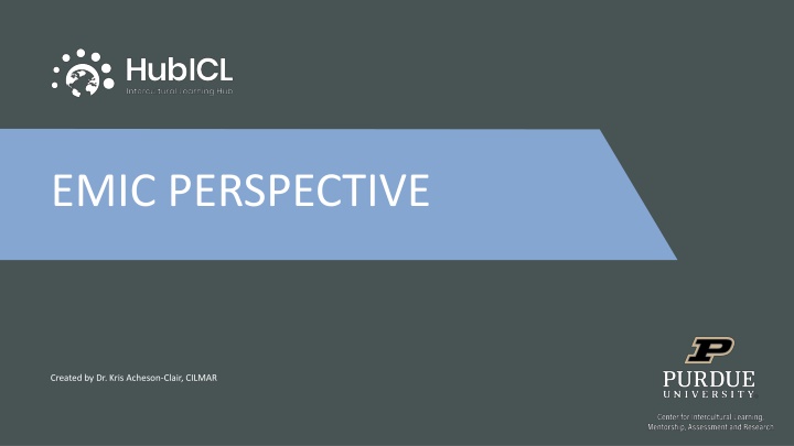 emic perspective