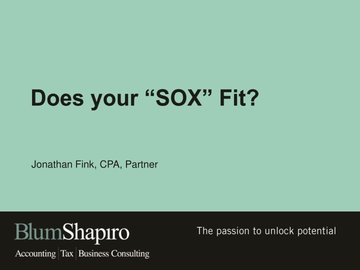jonathan fink cpa partner