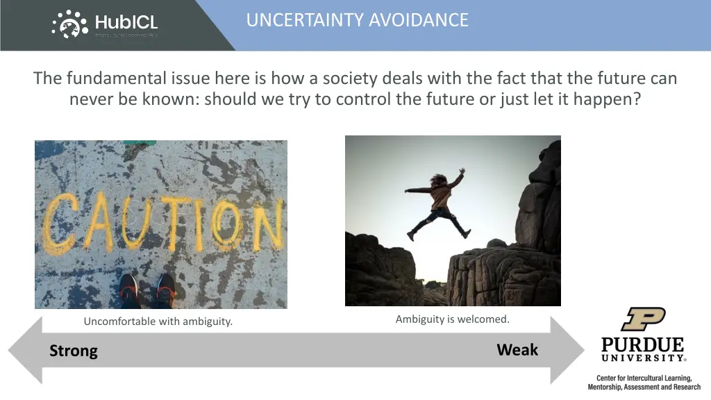 uncertainty avoidance