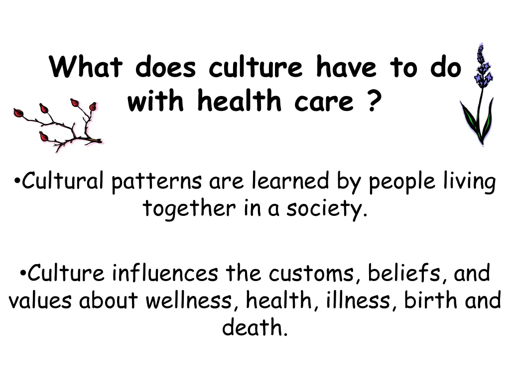 what does culture have to do with health care