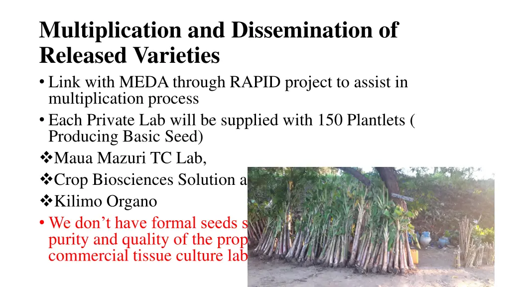 multiplication and dissemination of released 3