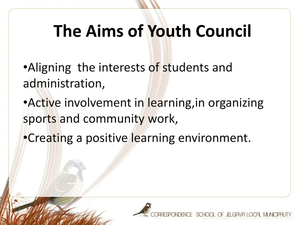 the aims of youth council