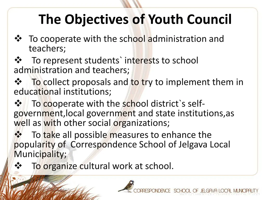 the objectives of youth council