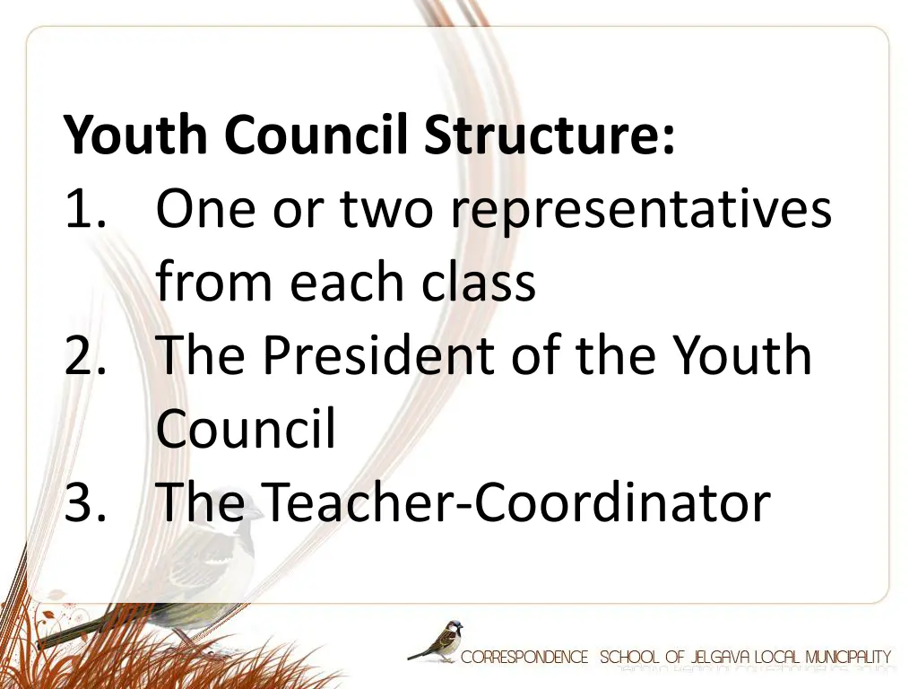 youth council structure