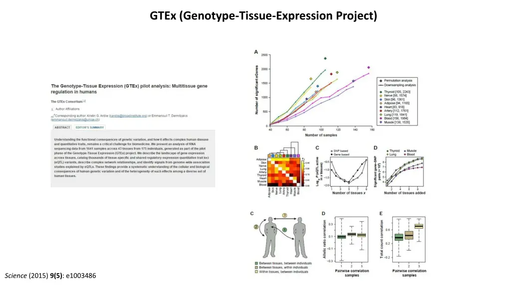 gtex genotype tissue expression project