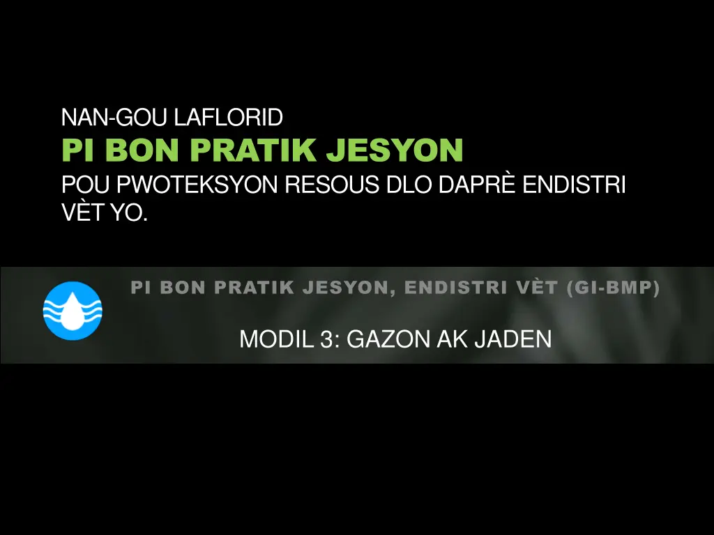 nan gou laflorid pi bon pratik jesyon 2