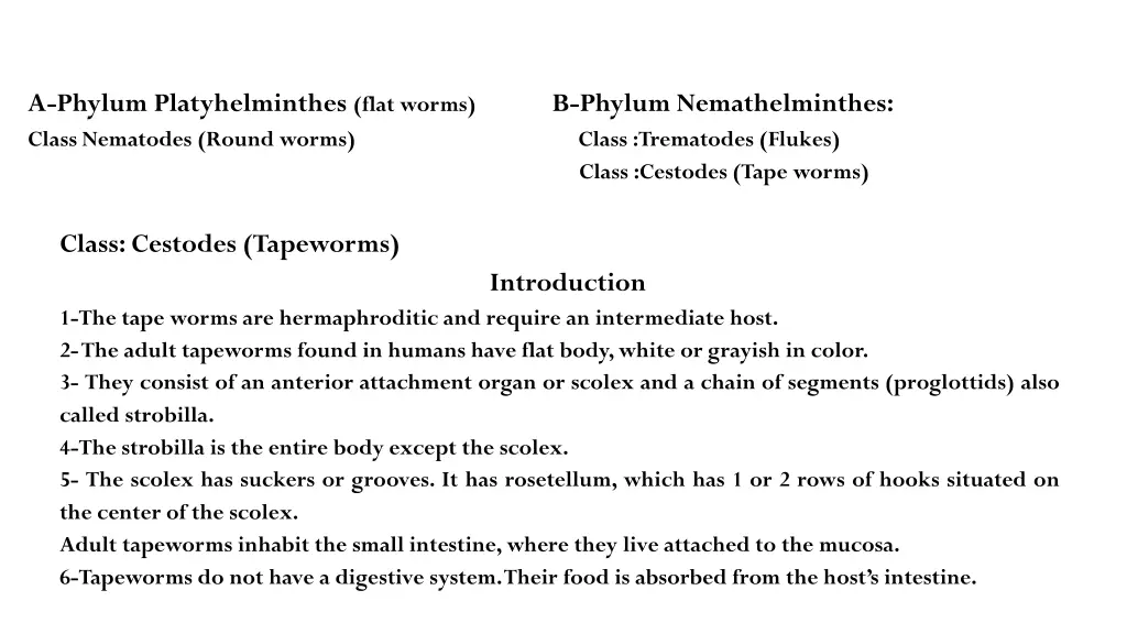 a phylum platyhelminthes flat worms class