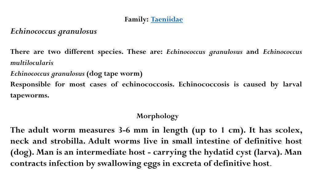 family taeniidae