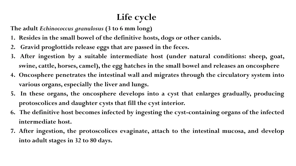 life cycle
