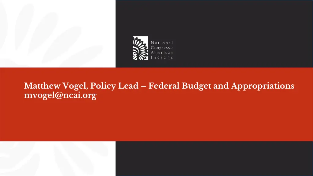 matthew vogel policy lead federal budget
