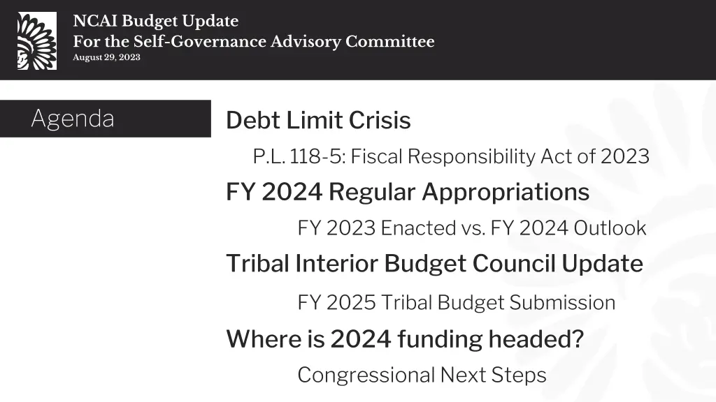 ncai budget update for the self governance 1