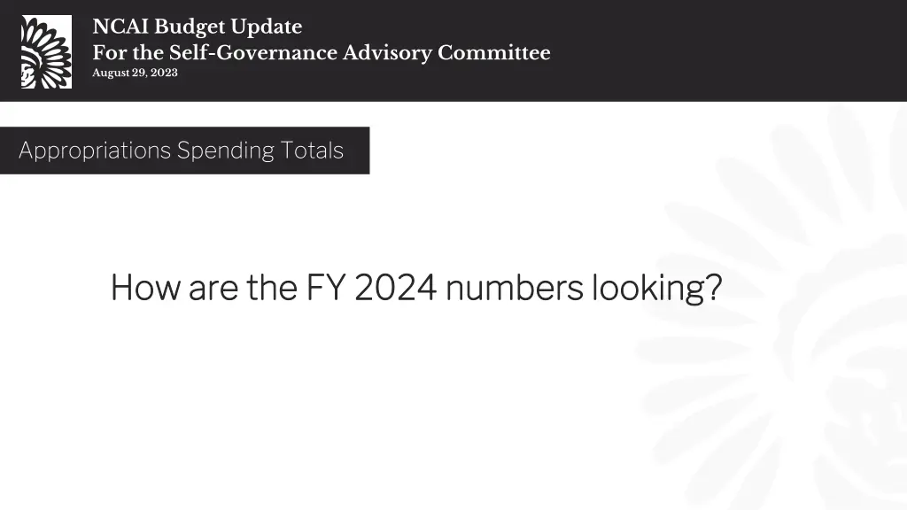 ncai budget update for the self governance 10