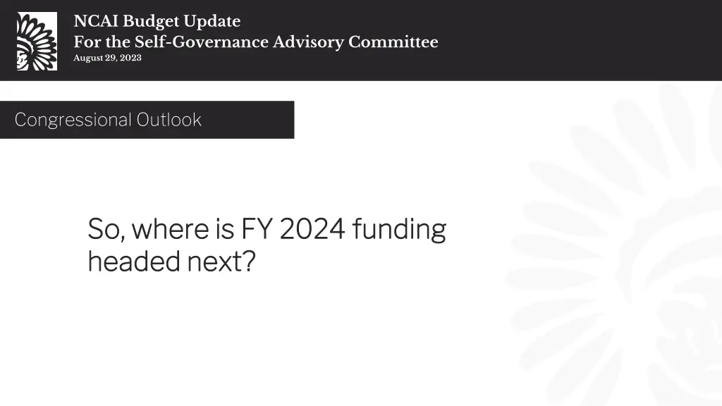 ncai budget update for the self governance 28