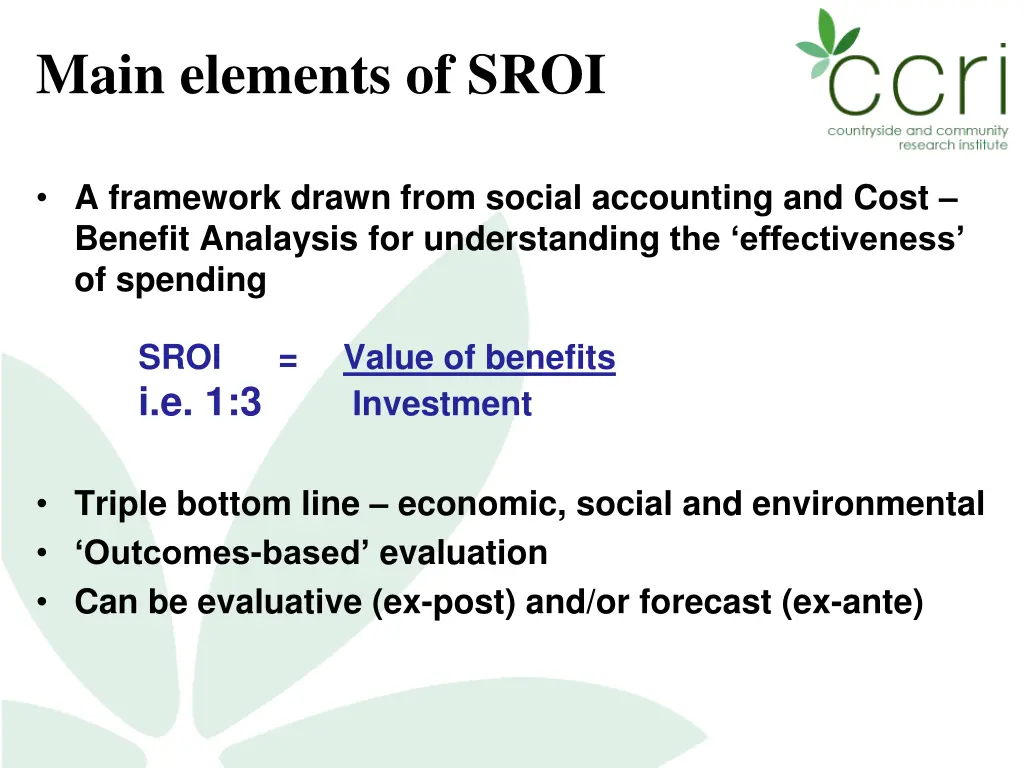 main elements of sroi