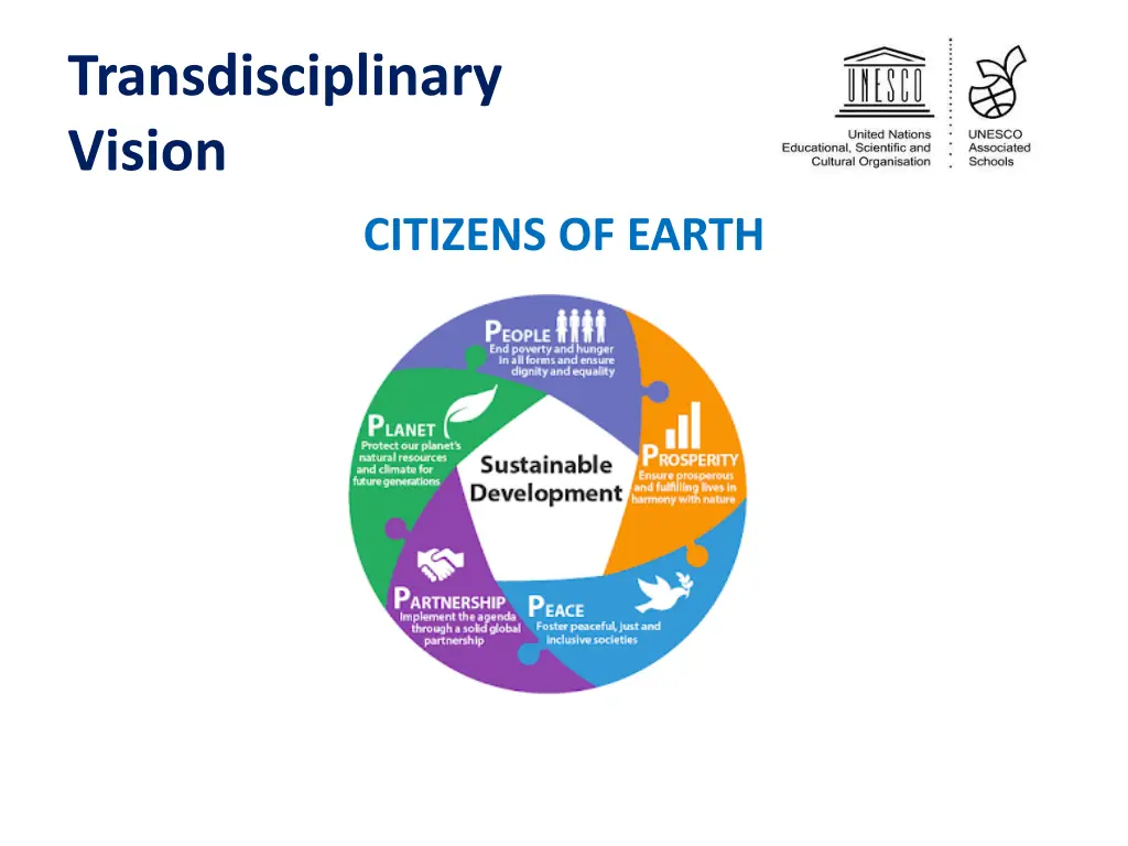 transdisciplinary vision