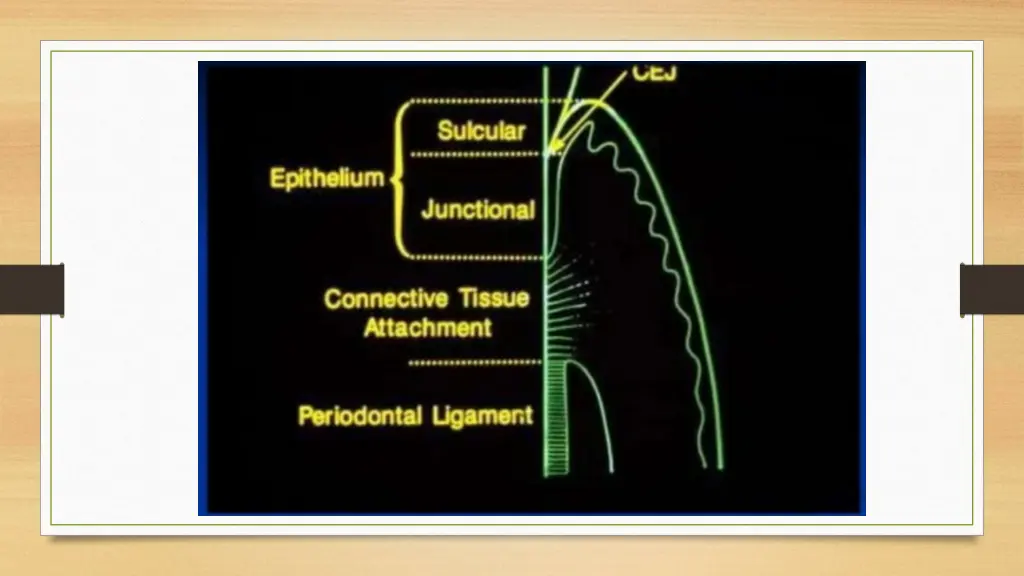 slide7