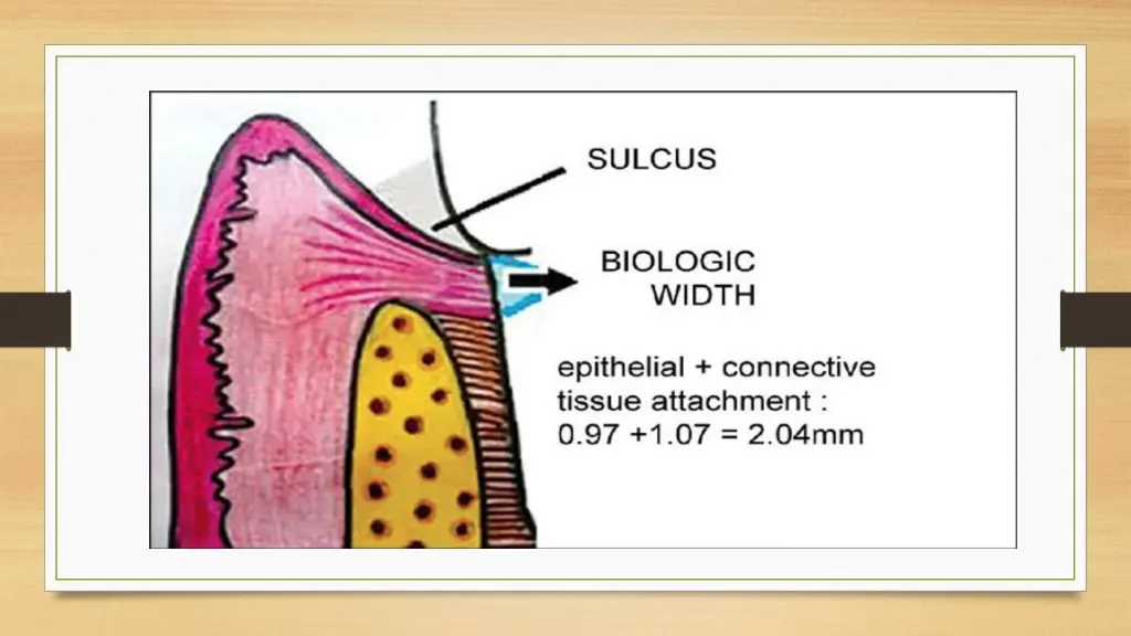 slide8