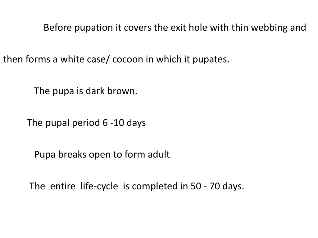 before pupation it covers the exit hole with thin
