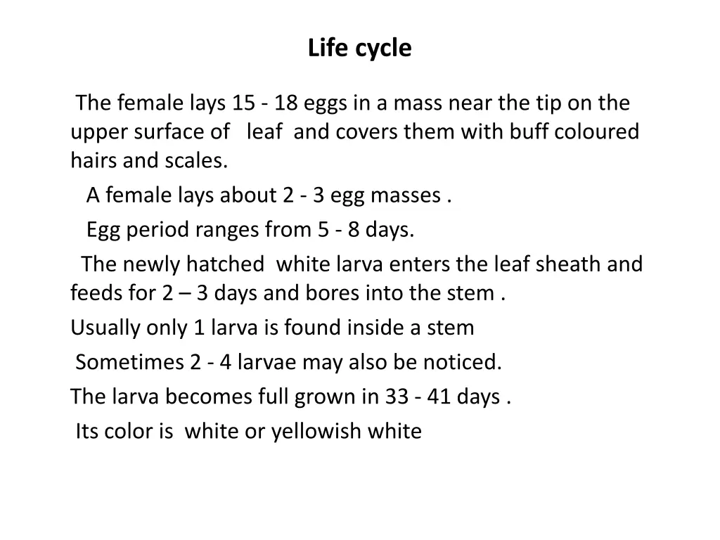 life cycle