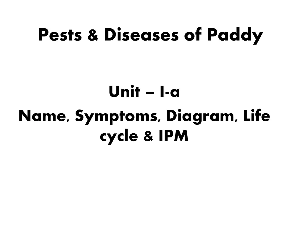pests diseases of paddy