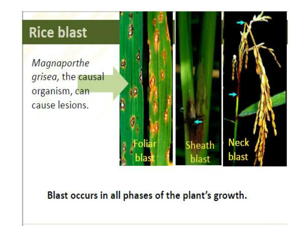 slide14
