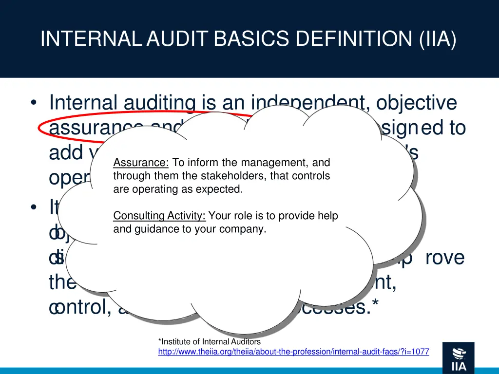 internal audit basics definition iia 6