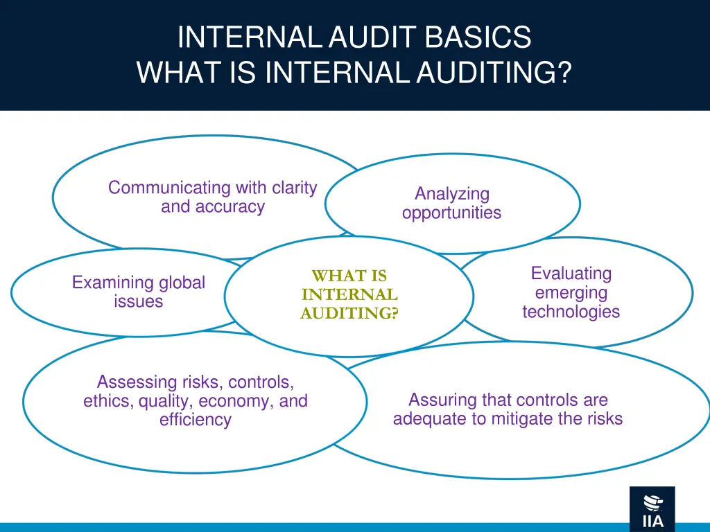 internal audit basics what is internal auditing