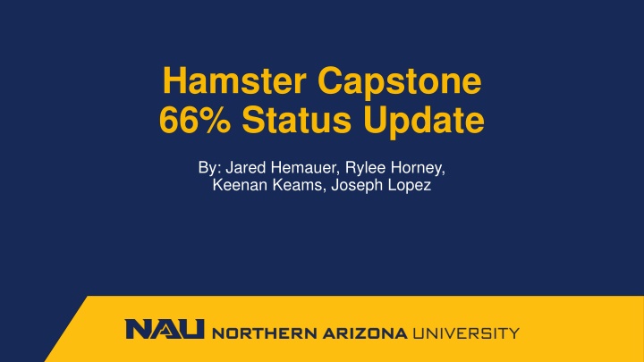hamster capstone 66 status update