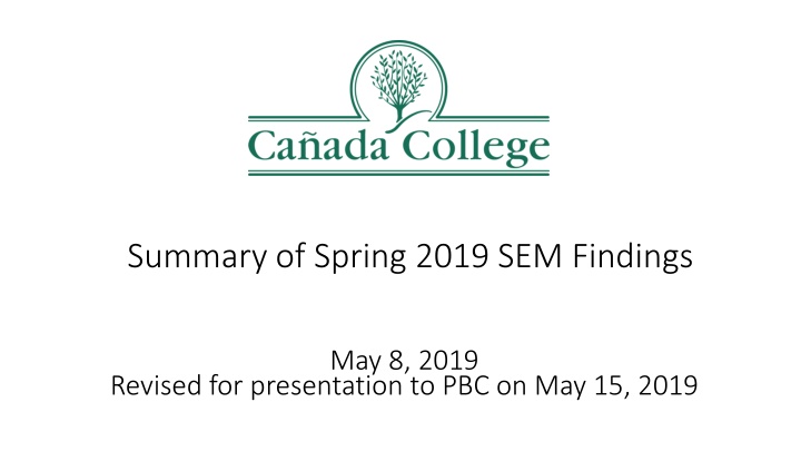 summary of spring 2019 sem findings