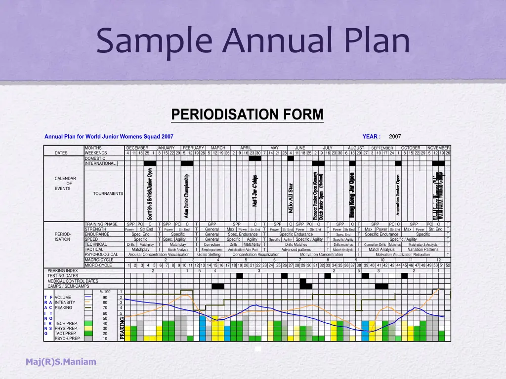 sample annual plan