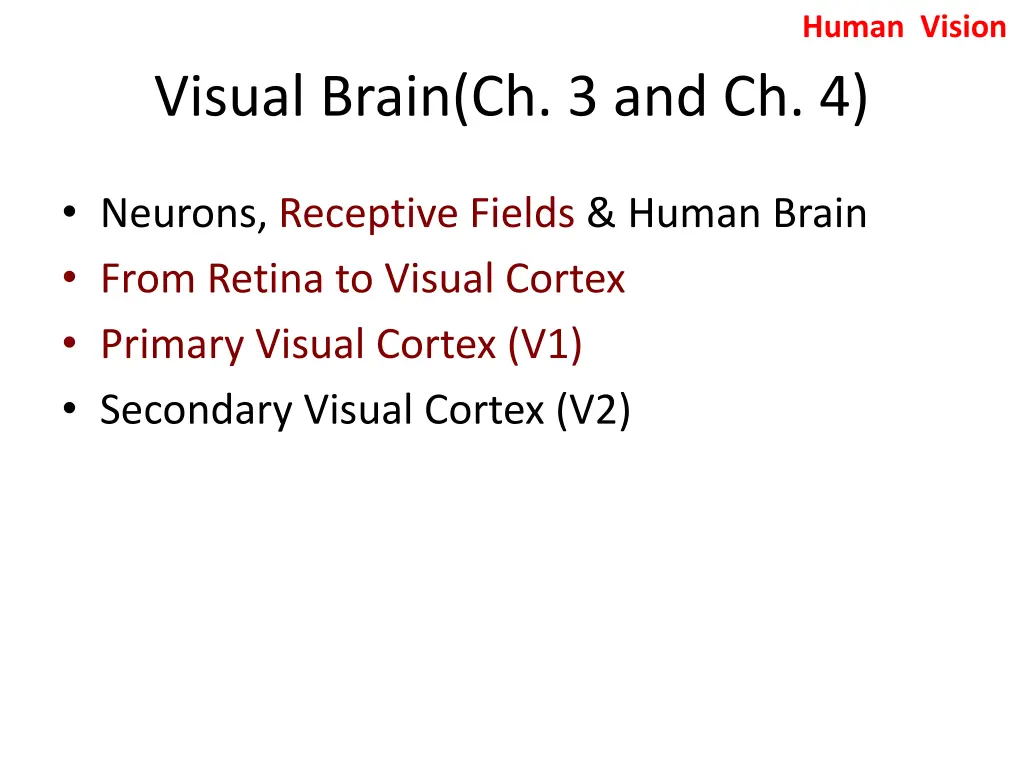 human vision 1