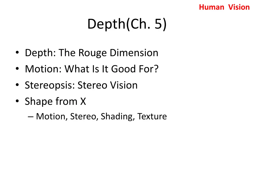 human vision 2