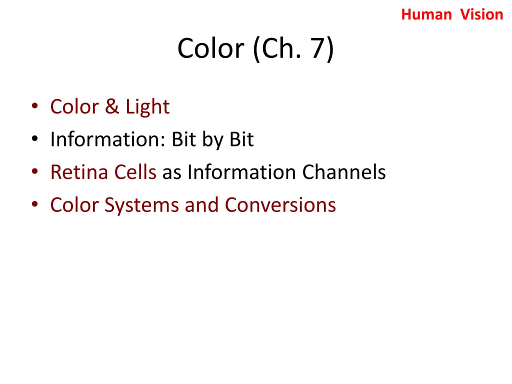 human vision 3
