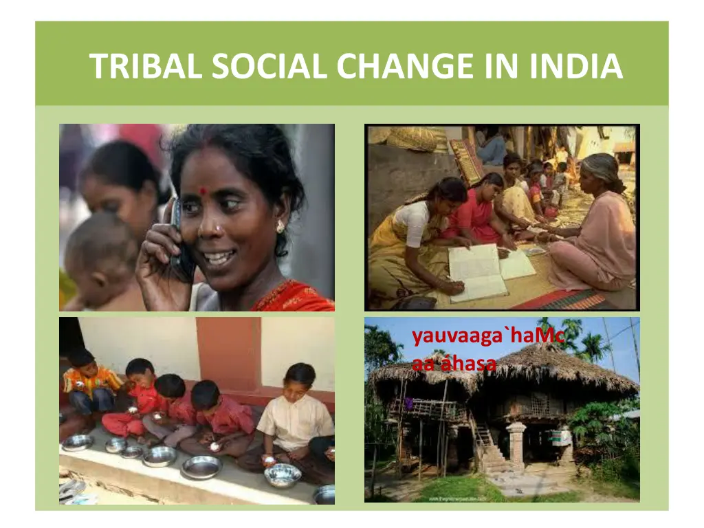 tribal social change in india 1