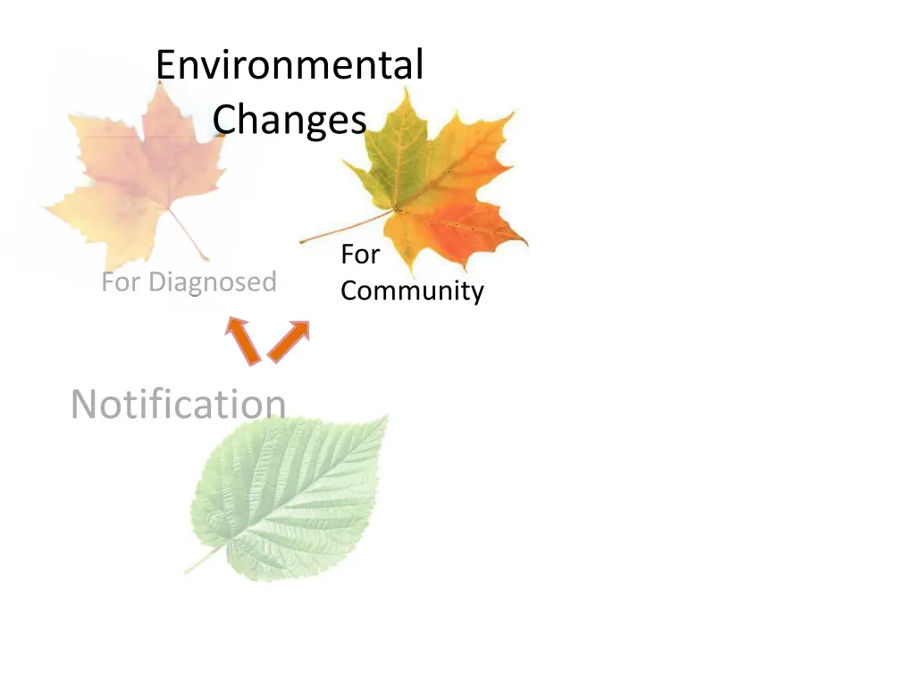 environmental changes 2