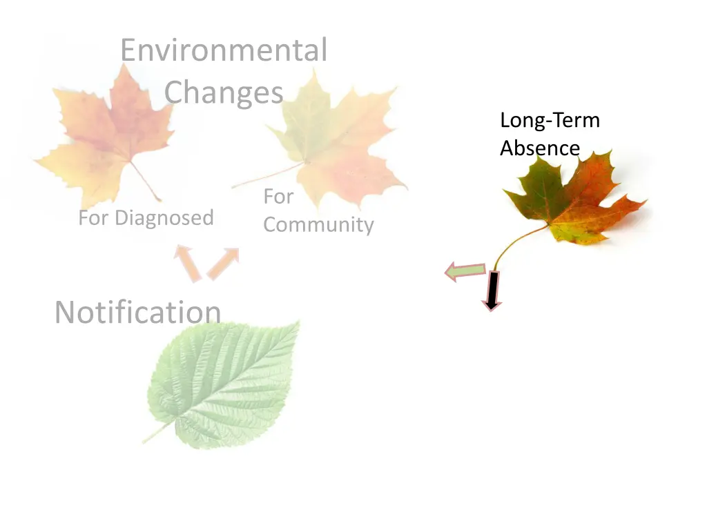 environmental changes 4