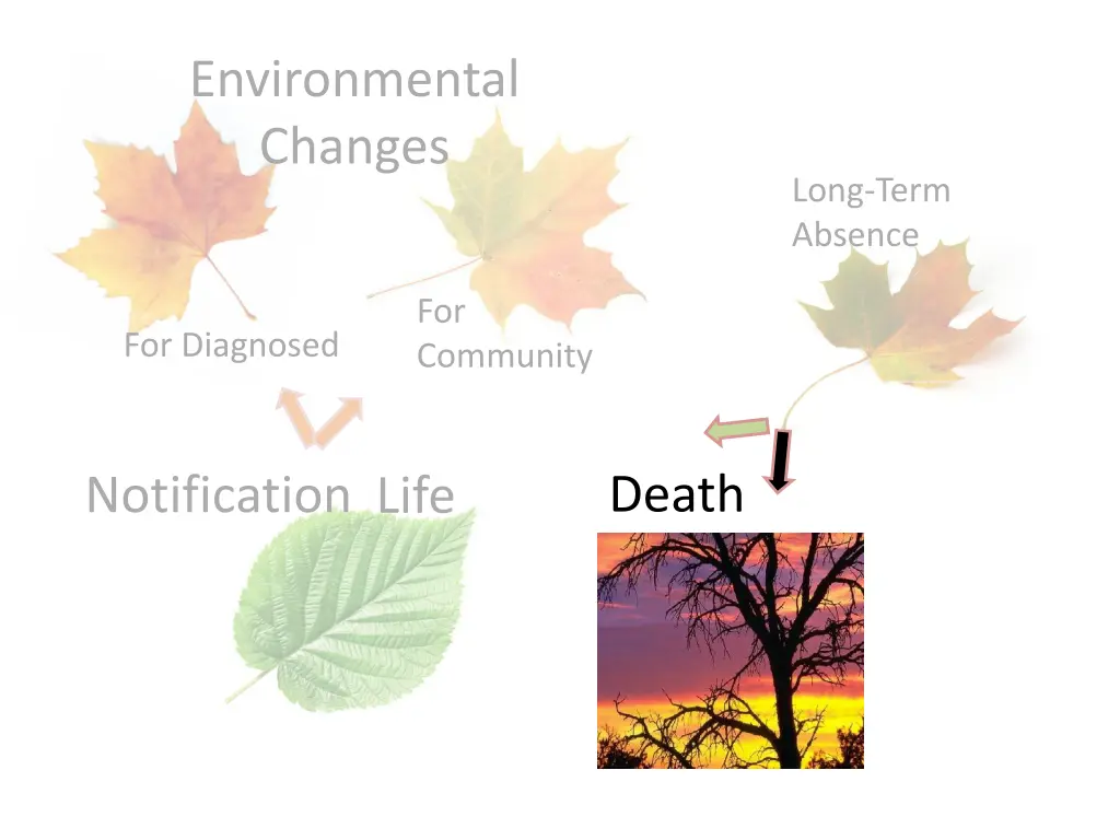 environmental changes 7