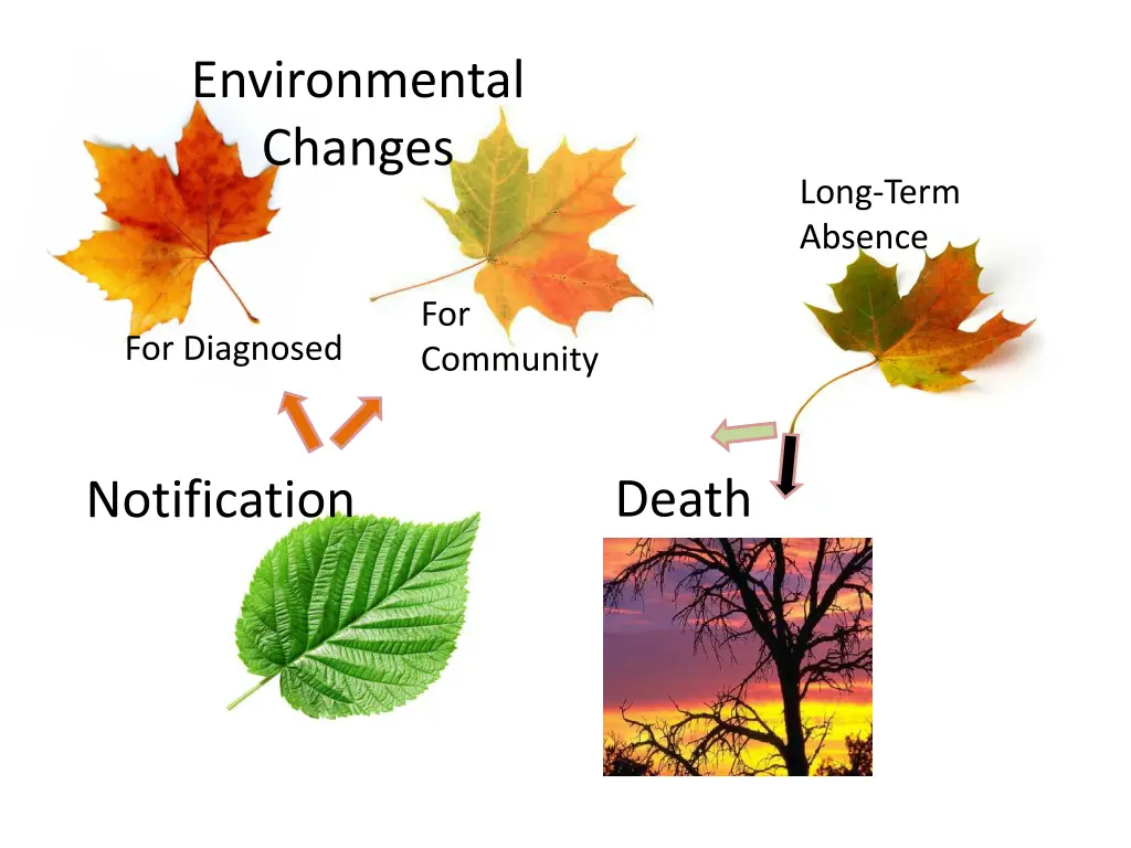 environmental changes 8