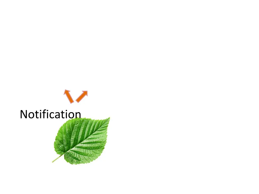 notification 1