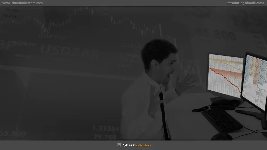 www sharkindicators com 2